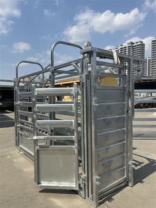 China Heavy Duty acero galvanizado manejo de ganado Crush Chute Squeeze Crush para uso veterinario - Product Image 4
