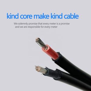 2x4mm2หุ้มฉนวนพีวีซีระบบพลังงานแสงอาทิตย์ดูอัลคอร์สำหรับสถานีพลังงาน - Product Image 6