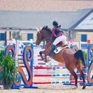 <span class=keywords><strong>Ostacoli</strong></span> Equestri Professionali dal Design Elegante, Costruiti per Scuole di Equitazione, Campi di Allenamento e Mostre Ippiche - Product Image 4