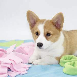 حصيرة استكشاف للحيوانات الأليفة، حصيرة تدريب على البحث عن الطعام للكلاب، حصيرة تغذية بطيئة - Product Image 5