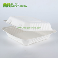 Boîte alimentaire carrée à emporter 9x9 pouces en bagasse de canne à sucre, sans PFAS, jetable et compostable