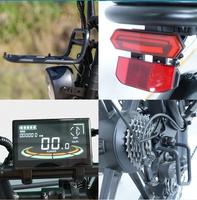 Nouveau Modèle 2025 V8 Max Vélo Électrique 250W pour Adultes Batterie 48V 15Ah Autonomie 45-55 Miles Fatbike 20*4.0 Pouces avec Moteur à Moyeu Arrière