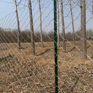 Usine de poteaux de clôture en treillis métallique standard YC gros poteaux de clôture en métal en forme de Y <span class=keywords><strong>poteau</strong></span> de clôture de ferme durable antirouille résistant à l'eau - Product Image 5