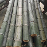 Ventes en gros de cannes en bambou brut de haute qualité en Chine, bâtons de bambou pour l'agriculture, pour les drapeaux
