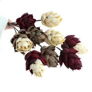 Toptan sıcak satış Phoenix ağacı tomurcuk ucuz gerçek yapay kurutulmuş çiçekler için yıldönümü hediyesi düğün dekor el yapımı CN;YUN TB
