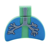 Modelo Médico Pulmones Forma Pendrive Personalizado Goma PVC Corazón Forma Usb Flash Drive Logo 32GB