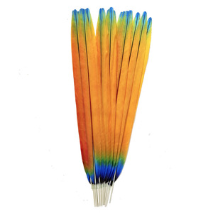 Plumas Artificiales Teñidas de Faisán y Guacamayo de 30cm-150cm para Decoración de Tocados de Carnaval, Samba, Burlesque y Azteca - Product Image 4