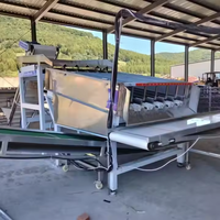 Machine à éplucher le maïs frais automatique à usage agricole Machine à éplucher et à enlever les graines de maïs pour une utilisation industrielle Vente de fabrication à bas prix