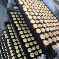 Mini ligne de production de biscuits, dépôt de biscuits, nouveau Design