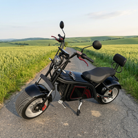 Moto électrique rapide 1500W-4000W 60V, scooter à pneus larges sans balais, longue autonomie, capacité tout-terrain, Citycoco amovible