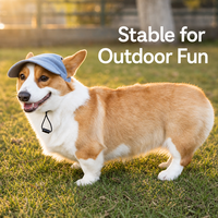 Casquettes de baseball personnalisées en velours côtelé pour animaux de compagnie – Chapeaux ajustables de protection solaire pour chiens et chats – Vêtements d'été durables, respirants et doux pour l'extérieur