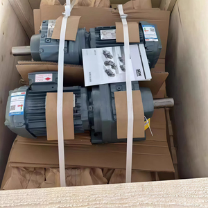 Reductor de Motor Eléctrico de Alta Calidad RX77 Alemania Serie R con Caja de Engranajes Helicoidales, Fabricación de Reductores Personalizados - Product Image 3