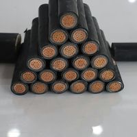 Unterirdisches Kupferkern-XLPE-isoliertes Stahlarmiertes PVC-Ummanteltes Stromkabel 0,6 1kV YJV32 Niederspannungskabel
