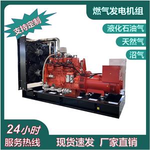 Generador de GLP de 10kW a 300kW, Unidad de Energía a Gas Natural con Motor de Bajo Ruido - Product Image 3