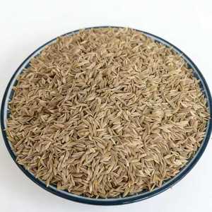 Anhui Fuli Hall TCM Sheng Cai Zi Salatsamen 1kg Rohe Granulate zur Unterstützung des Schlafs zu Hause - Product Image 5