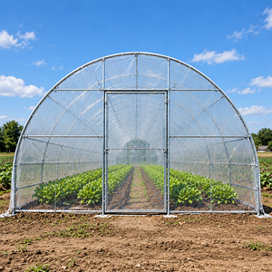 Serre agricole à simple travée avec structure en acier et couverture en film plastique pour la culture des légumes - Product Image 3