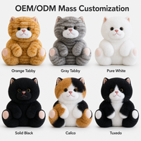 Nouvelle conception 2026 – Peluche chat mignon et personnalisable, câlinable, pour enfants – Cadeau d'anniversaire