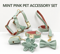 Nouveau produit tendance : Ensemble d'accessoires pour animaux de compagnie en velours 6 pièces – Harnais, collier et laisse réglables pour chien avec porte-sac à déjections – Vente en gros, faible MOQ