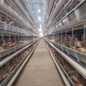 卵鶏養鶏場用の4層ホット亜鉛メッキアルミニウム動物ワイヤーメッシュバッテリーレイヤーケージ