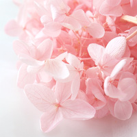 Hortensia de tour artificielle de fleur naturelle le plus populaire avec tige pour décoration de mariage Hortensias conservés