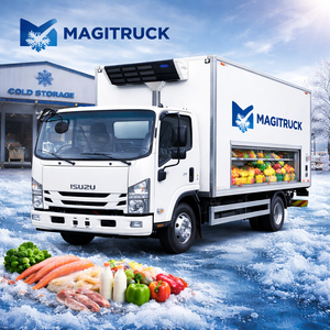 New Magitruck 6tons Refrigerated Freezer Van Truck Diesel Hydraulic Lifting LHD RHD Small Trucks -18C Cold Chain - Product Image 2