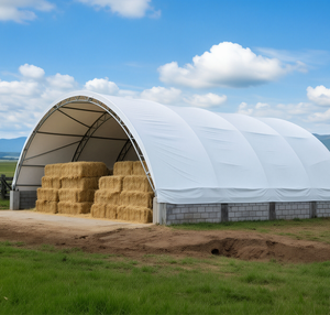 Abri de voiture en toile polyéthylène avec structure en acier ronde de 12'x20'x8' pour le stationnement et le stockage des <span class=keywords><strong>voitures</strong></span> - Product Image 3