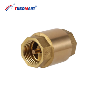 Fabricant OEM – Vanne de retenue en laiton avec noyau en plastique, pour <span class=keywords><strong>eau</strong></span> <span class=keywords><strong>chaude</strong></span> et <span class=keywords><strong>froide</strong></span>, disponible en tailles de 1/2 po à 4 po - Product Image 1