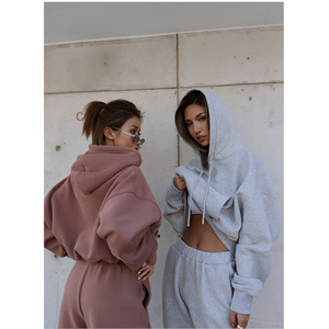 Mùa Thu Và Mùa Đông Mới Giản Dị Áo Len Áo Khoác Áo Khoác Cộng Với Nhung Ấm Áp Thể Thao Womens Phù Hợp Với Hai Mảnh Thiết Lập - Product Image 2