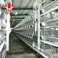 Cage à poulets de chair de type H, cage à poulets de chair à 3 niveaux avec plancher en plastique, système d'évacuation automatique du fumier, abreuvoir à tétine, élevage avicole haute densité