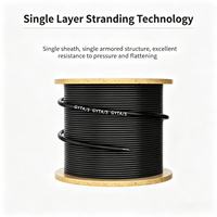 Cable de Fibra Óptica Blindado para Exteriores GYTA/GYTS/GYTA53/GYTC8S/GYXTW/G652D Monomodo de 2 a 12 Núcleos