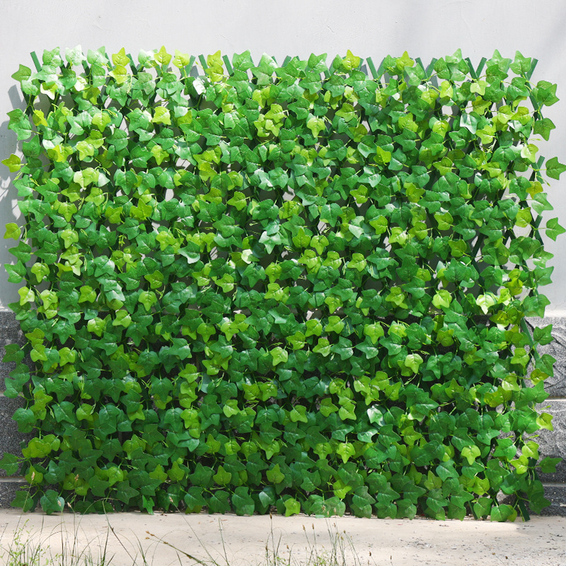 Feuilles de vigne grimpantes