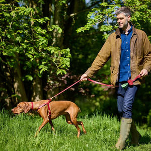 ペットレザー犬用ハーネスカスタマイズOEMトレーニング屋外犬用ハーネス大型犬用ベスト<span class=keywords><strong>2025</strong></span> - Product Image 6