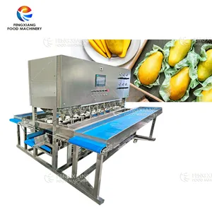 Fully automatic Mango peeler and coring machine Commercial mango peeling big fruit peeler