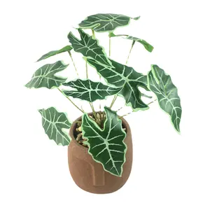 Manufacturers wholesale simulation plant turtle back leaves a variety of optional 12 spring taro Nordic home decoration s