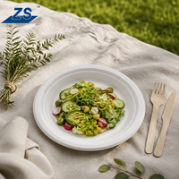Assiettes jetables en bagasse ZS 23 cm (9 pouces) 100 % compostables, biodégradables et respectueuses de l'environnement