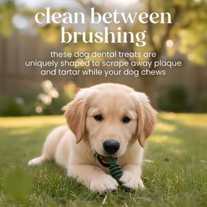 OEM ODM Bâtonnet à mâcher pour chien, brosses à dents et bâtonnets molaires, saveur bœuf, pour le nettoyage dentaire, l'entraînement, la santé intestinale et la prévention du tartre et de la plaque dentaire - Product Image 4