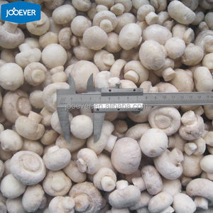 Champignon congelé <span class=keywords><strong>HACCP</strong></span> BRC <span class=keywords><strong>IQF</strong></span> de Chine de haute qualité en gros Champignon congelé dans un sac