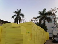 Panneaux isolants en mousse plastique XPS haute densité de style industriel Blocs en polystyrène ignifuges pour mur extérieur