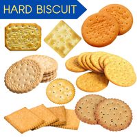 Skywin Machine de fabrication de biscuits durs à coupeur rotatif entièrement automatique pour les fabricants de biscuits usine de fabrication de boulangerie farine lait
