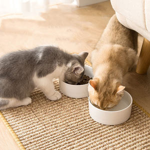 Protection de canapé, tapis en sisal, grands arbres en carton, affiche en carton, maison, autocollants à gratter personnalisés, grattoir pour chat en bambou - Product Image 4