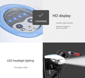 La Chine Mini 350-500W frein avant adulte 3 roues Scooter électrique - Product Image 5