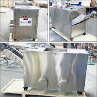 Kleine Industriële Mini Bananenschil Peeling Dunschiller En Cutter Geschilde Chip Maken Machine