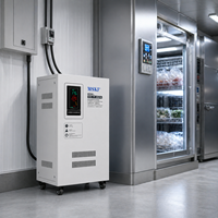 Stabilisateurs de tension monophasés SVC-15000W, nouvelle conception, 15 kVA, AVR, cuivre, régulateurs de tension 220 V, protection