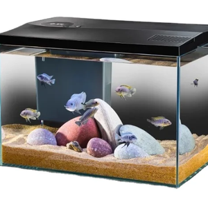 Petit <span class=keywords><strong>aquarium</strong></span> paysager sans eau en verre carré pour salon - Product Image 1