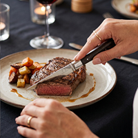 Mehrzweck Umweltfreundliches Besteck-Set Edelstahl-Messerset Handgefertigte Schäl- und Steakmesser für Restaurants