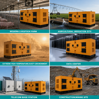Groupe électrogène diesel silencieux Yuchai 200 kW 250 kVA abordable, insonorisé, pour l'alimentation de secours des usines industrielles et l'agriculture