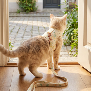 Ensemble <span class=keywords><strong>Harnais</strong></span> et Laisse pour Chat et Chiot, Motif Dessin Animé Personnalisé, Vêtement de Voyage et de Promenade pour Chaton, T-shirt en Tissu pour Chien et Chat, Vêtements pour Animaux de Compagnie - Product Image 1