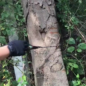 <span class=keywords><strong>Scie</strong></span> à chaîne multifonctionnelle portable rechargeable étanche pour l'extérieur, la randonnée en montagne, outil de <span class=keywords><strong>scie</strong></span> à fil à main - Product Image 3