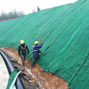 Tapis de renfort de protection des pentes Couverture de contrôle de l'érosion Géotextile Protection de remblai Noix de coco Jute Géotextile - Product Image 5