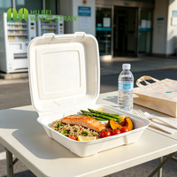Boîte alimentaire biodégradable en bagasse de canne à sucre 9x9 pouces, résistante au congélateur, étanche, pour plats à emporter